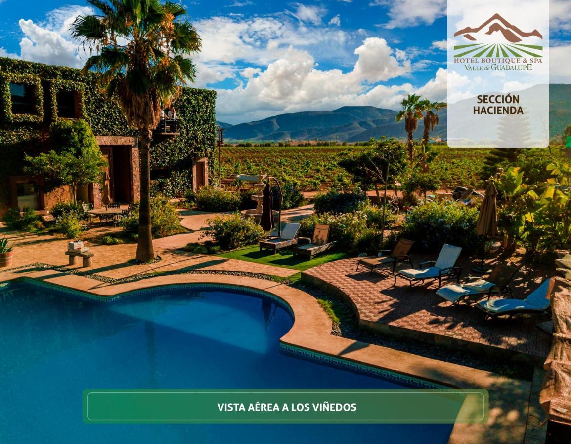 Hotel Boutique Valle De Guadalupe & Spa Экстерьер фото