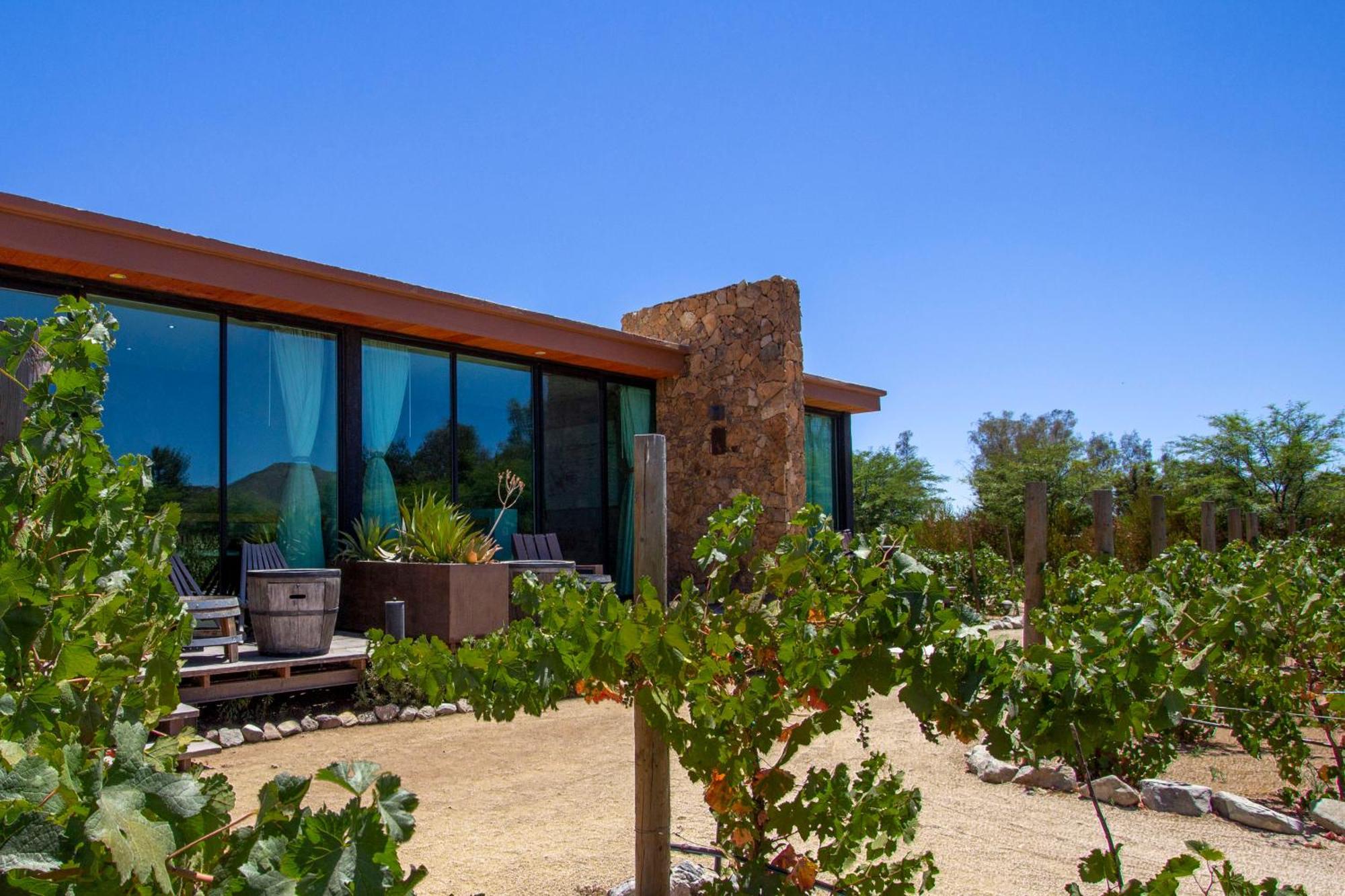 Hotel Boutique Valle De Guadalupe & Spa Номер фото