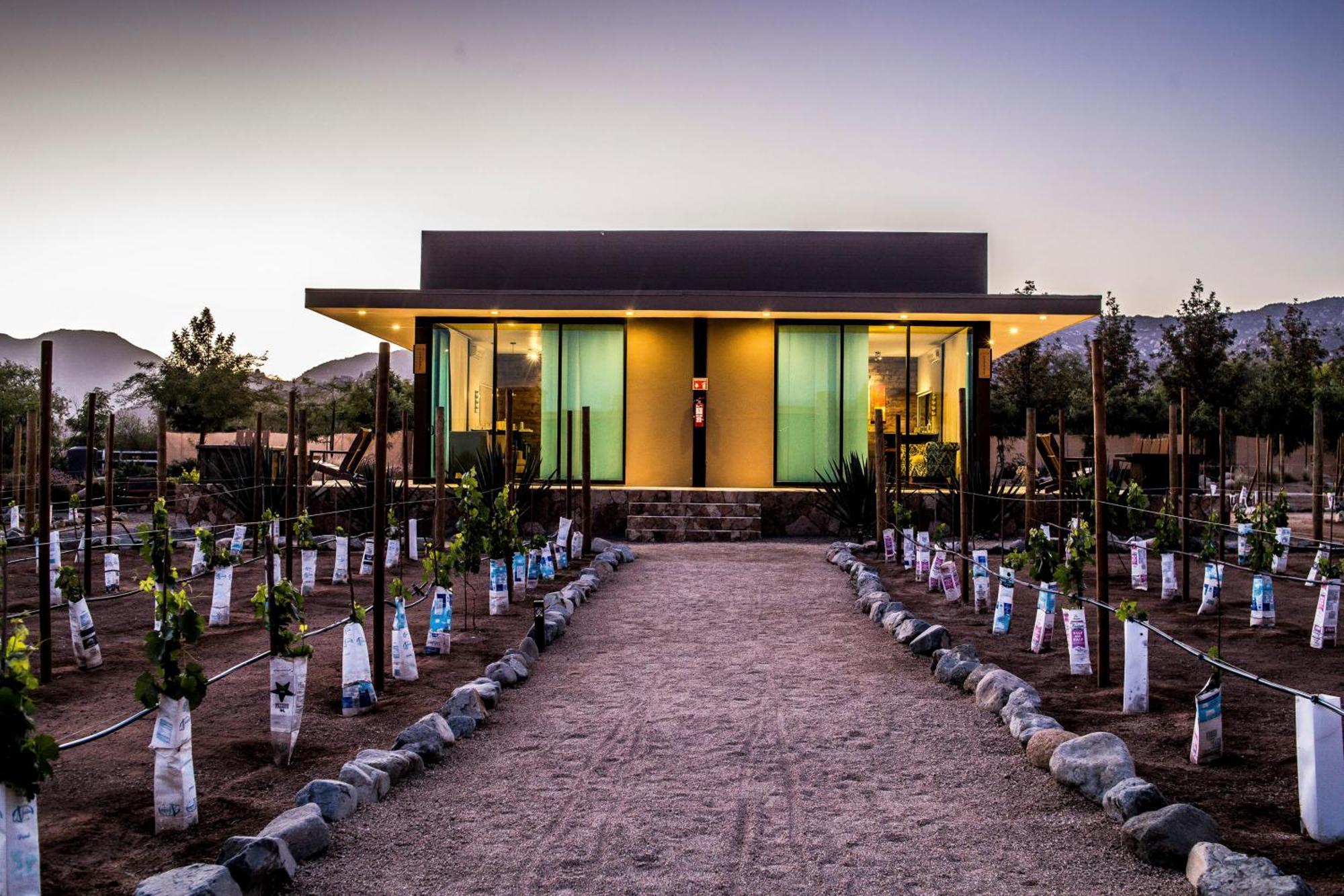 Hotel Boutique Valle De Guadalupe & Spa Номер фото